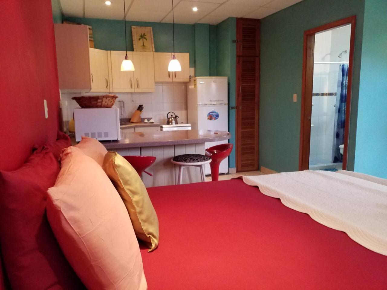 Aqua Point Condos Rentals Bocas Town Luaran gambar